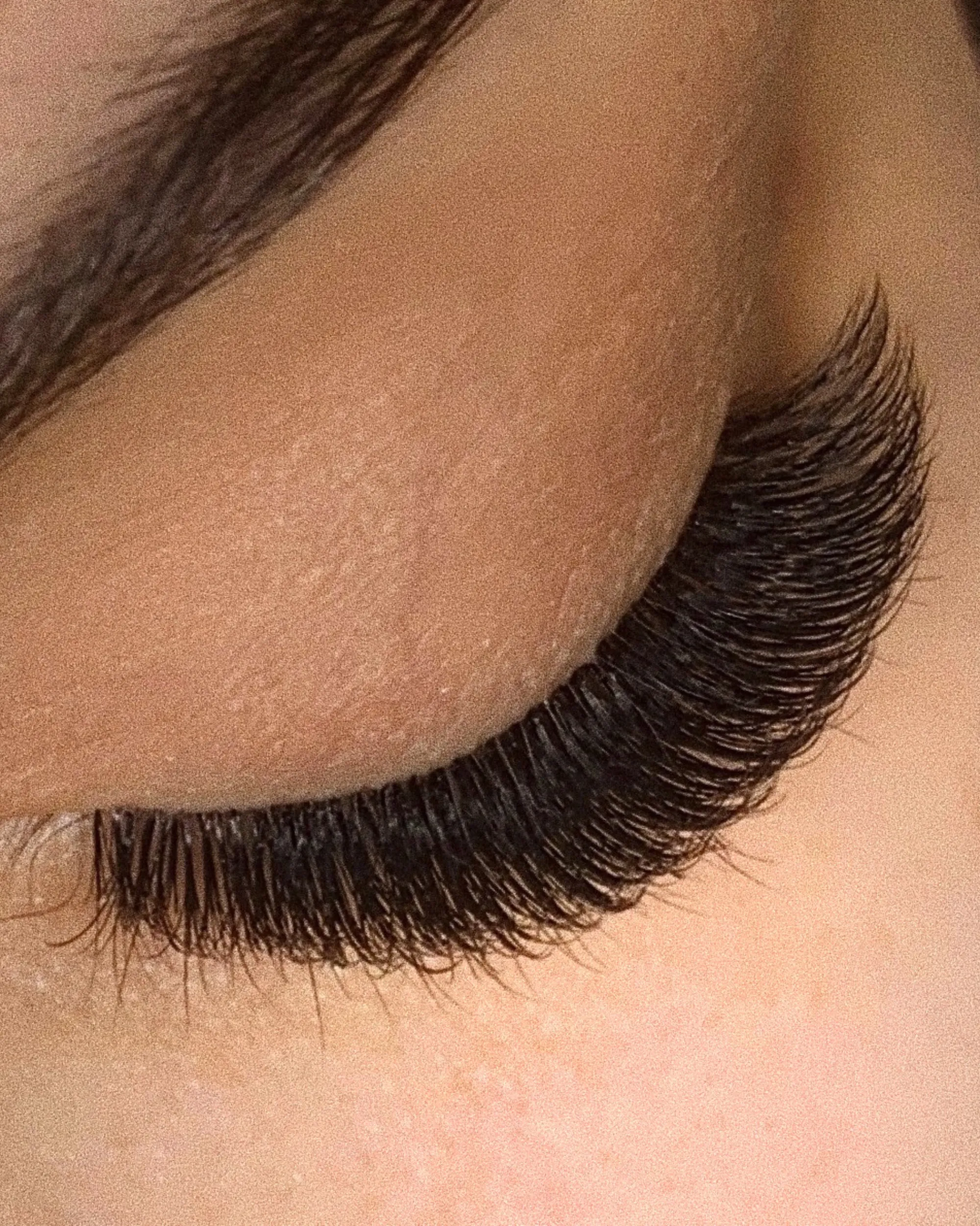 L-Curl Plush Lashes (Mixed Trays)